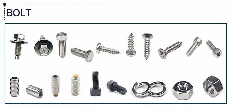 Spine Orthopedic Instruments Manufactured for Medical7