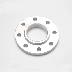 SS316L EN1092-1 PN16リングジョイントB16.5チタンフランジ